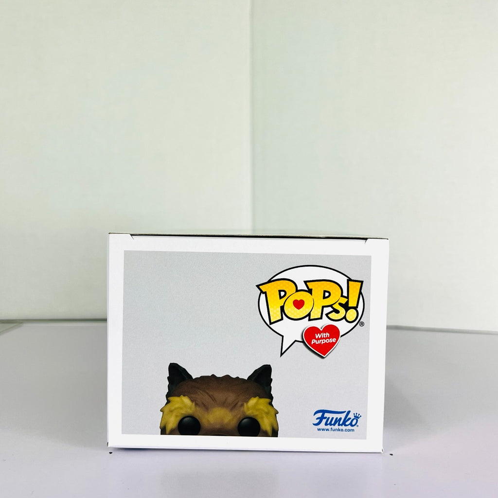 Funko POP Vinyl - Pops With Purpose - The Wizards Of Oz - Toto In Basket #1276