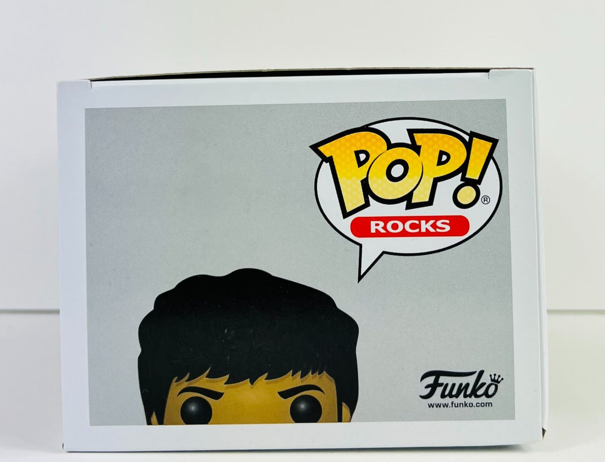Funko POP Vinyl - Rocks - Around The World In A Day - Prince - #80 [1]