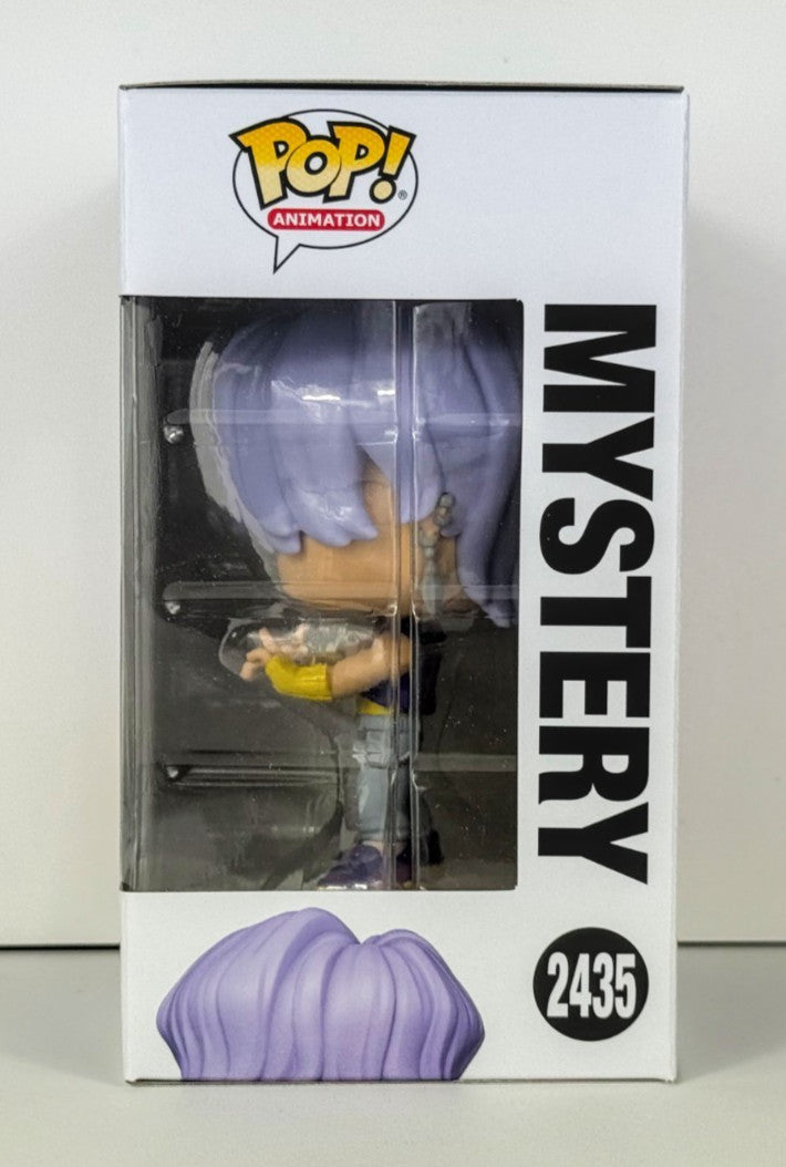 Funko POP Vinyl - Animation - K-POP Demon Hunters - Mystery - #2435